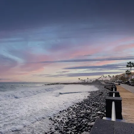 Live Atlantic Pearl Candelaria